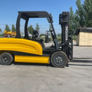 2026_05_09_14_14_55_IMG_0869 5Ton Electric Forklift